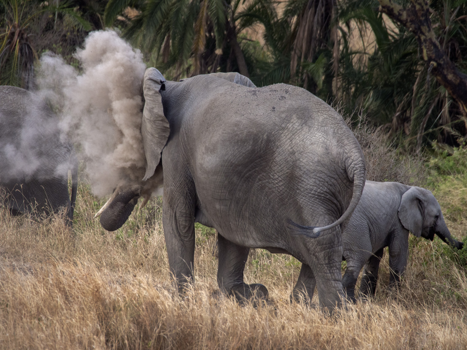 20130721_Tanzania_2260F.jpg