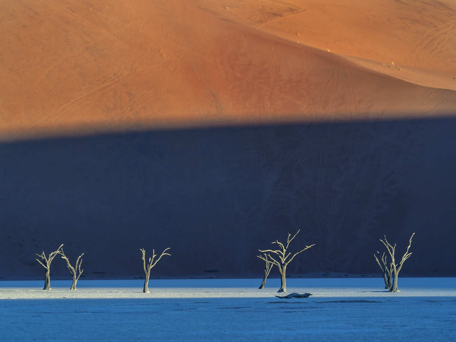 20180422_NamibDesert_4141Fv2