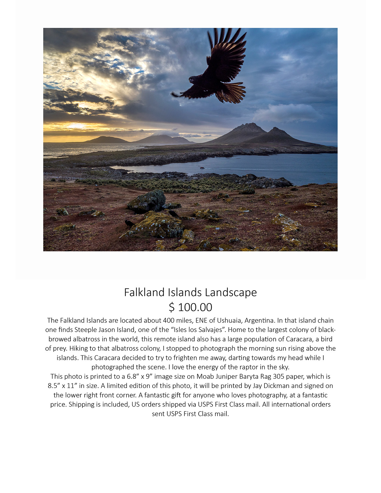 Falkland Island landscape page