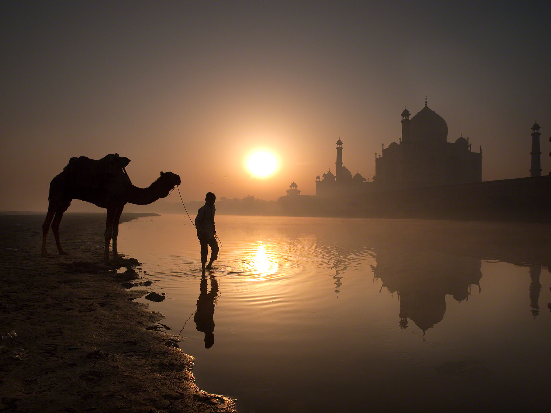 TajMahalCamel.jpg