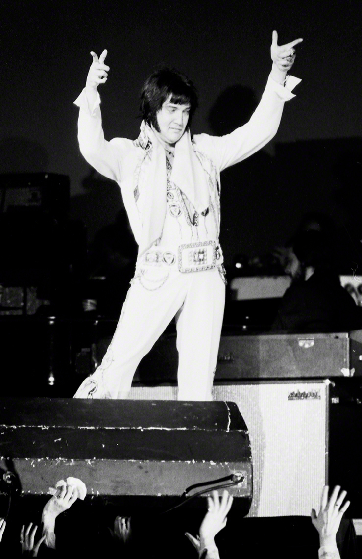 WMRockElvis.jpg
